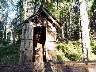 sequoia-2019-toilet9-day4  Redwood Grove w.jpg (700954 bytes)